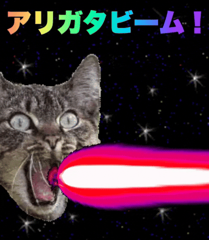 Flying Cat Laser Cat Affinity On Ipad Questions Affinity Forum