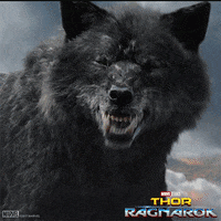 Thor Ragnarok GIF by Marvel Studios