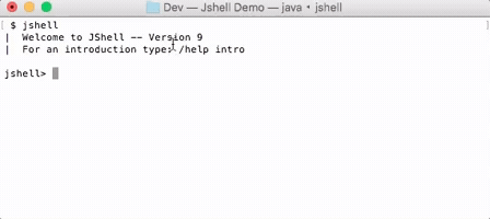 DM8tyProgrammer java jshell GIF