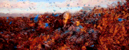 margoizueta  GIF