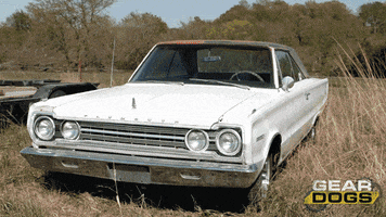 Hot Rod Gasser GIF by Discovery