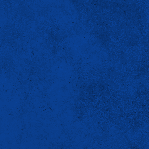 Oceana_Chile pesca pez oceano merluza GIF