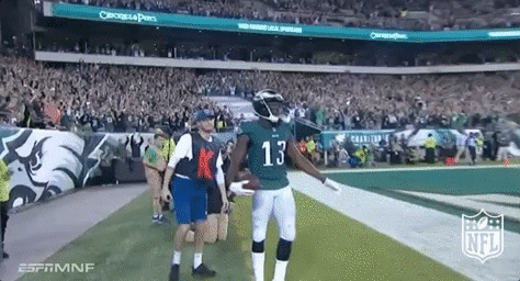 Philadelphia Eagles Football GIF by NFL - Find & Share on GIPHY