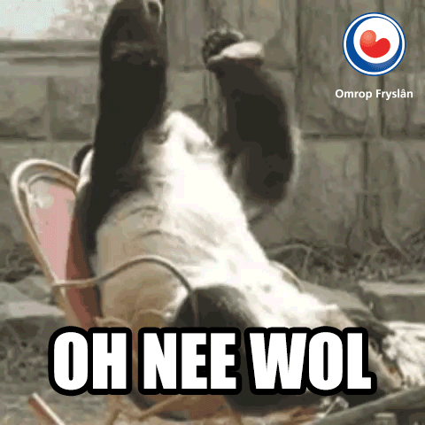 Doh Facepalm GIF by Omrop Fryslân