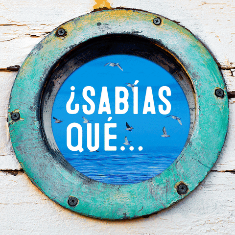 pescanova bacalao cortarelbacalao sabÃ­asquÃ© GIF
