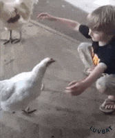200.gif