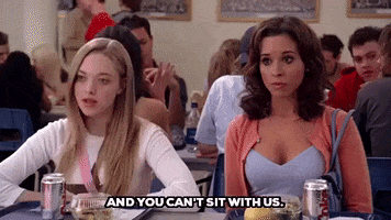 and you cant sit with us amanda seyfried GIF