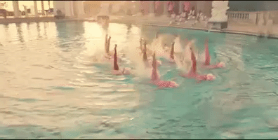 music video swimming GIF by Lady Gaga