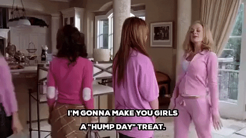 Hump Day Gifs Get The Best Gif On Giphy