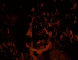 Jack O Lantern Halloween GIF by filmeditor