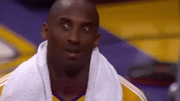 Los Angeles Lakers Omg GIF by NBA