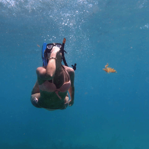 Liquidart Freediver GIF