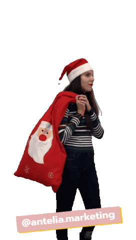 Christmas Noel Sticker by AnteliaMarketing