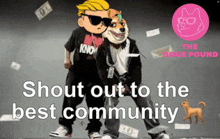 Dogecoin Wall Street Bets GIF by The Doge Pound 