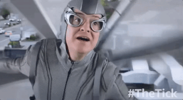 flying griffin newman GIF by The Tick