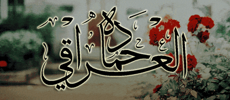 marwan  GIF