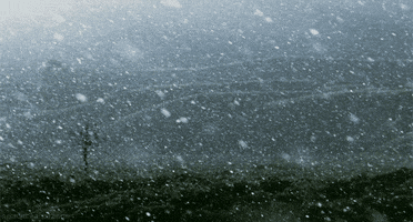 Snow Storm Snow Storm