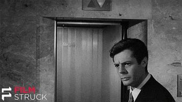 200.gif?cid=fc005b0841ad9365842c00eb2c6f2b6fda230414a67aef03&rid=200.gif&ct=g