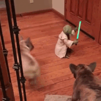 200.gif?cid=fc005b08f8e894877f626a92e267d012a2922ff8db2ce04d&rid=200.gif&ct=g