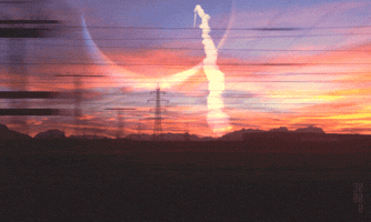 maxniederhofer  GIF