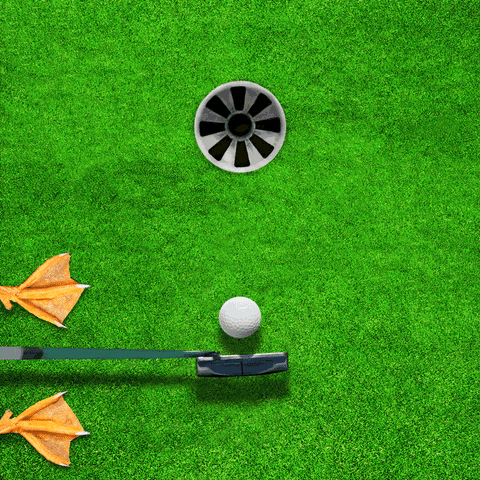 golf putt GIF by Aflac Duck