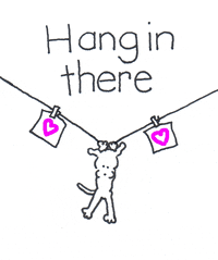Hang-in-there GIFs - Get the best GIF on GIPHY