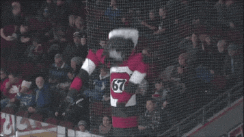 td place yes GIF by Ottawa 67's