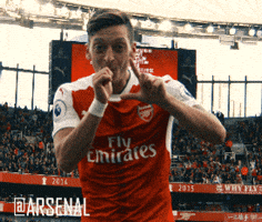 premier league football GIF by Arsenal