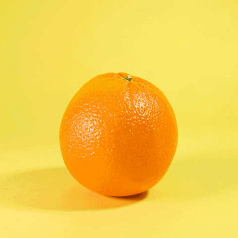 orange trees GIF by Evan Hilton
