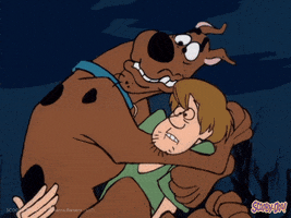 Cartoon Omg GIF by Scooby-Doo