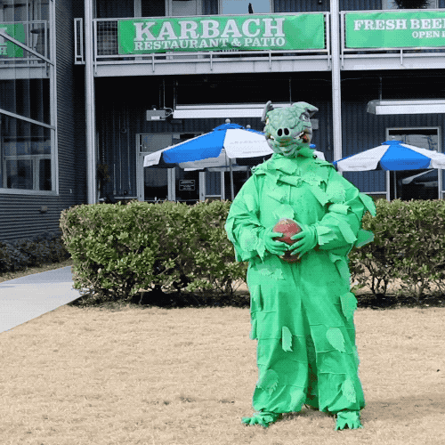 Dillodillo GIF