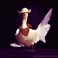 Cowboy Dancing GIF by Aflac Duck