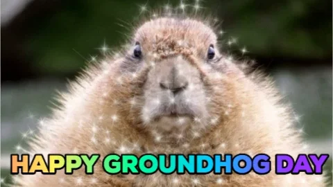 Groundhog Day GIF by Justin