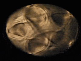 heligone starwave GIF