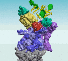 protein GIF by Harvard Medical School