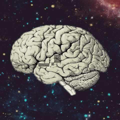 the universe brain GIF by Percolate Galactic