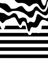 distort black and white GIF by Trippyogi