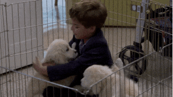 happy puppy love GIF by Fuller House
