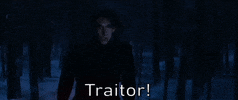 Episode 7 Traitor GIF by Star Wars