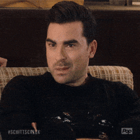 pop tv GIF by Schitt's Creek