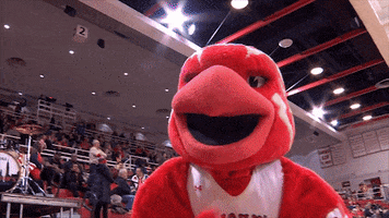 st johns big east mascots GIF by BIG EAST Conference