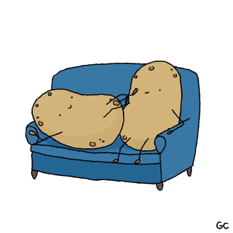 Image result for couch potato gif