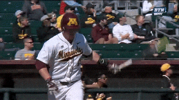 college sports baseball GIF by Minnesota Gophers