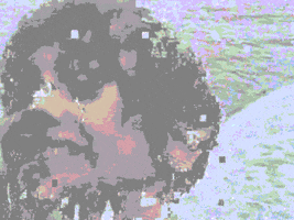 design-kink loop woman beach horse GIF