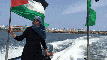 stevendavy bbc gaza pri the world GIF