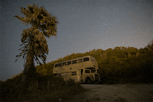 nikolaykomitov bustars GIF