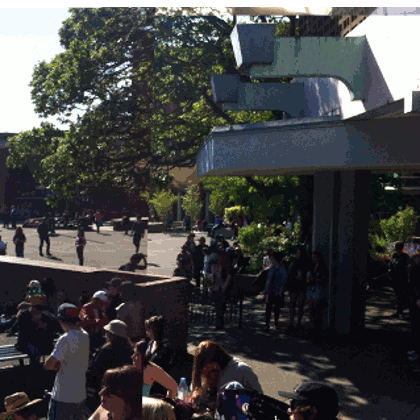 ronvanzetta 2015 victoria bc 4:20 GIF