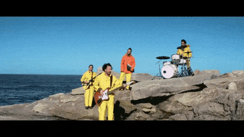 ocean dolphins GIF by Guster