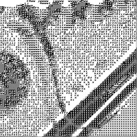 black and white glitch GIF by Converse