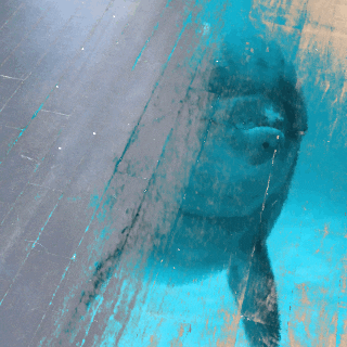 davidgraver  GIF